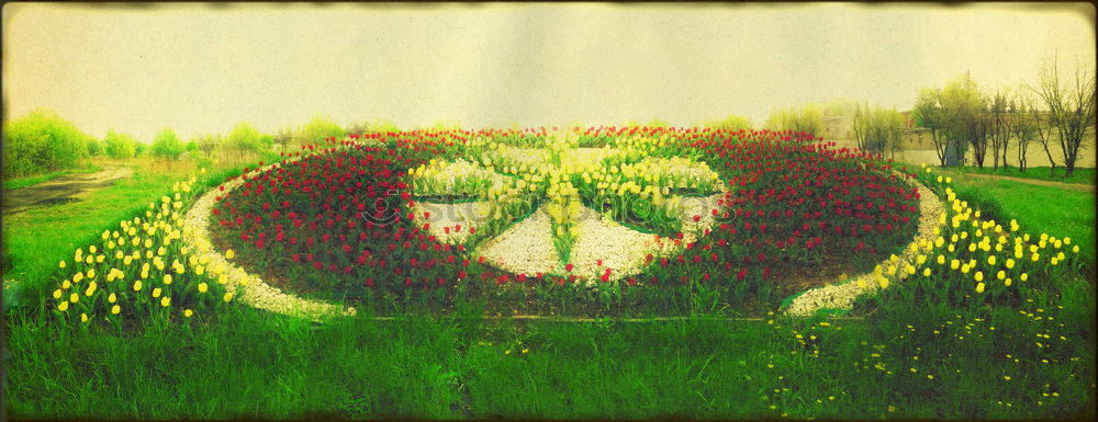 Similar – Image, Stock Photo Almost every road leads to the finish line / In a green field you can see two tire tracks. From left to top with a bend. The background is dark.