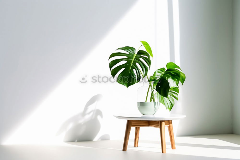 Similar – Image, Stock Photo green on white. Plant