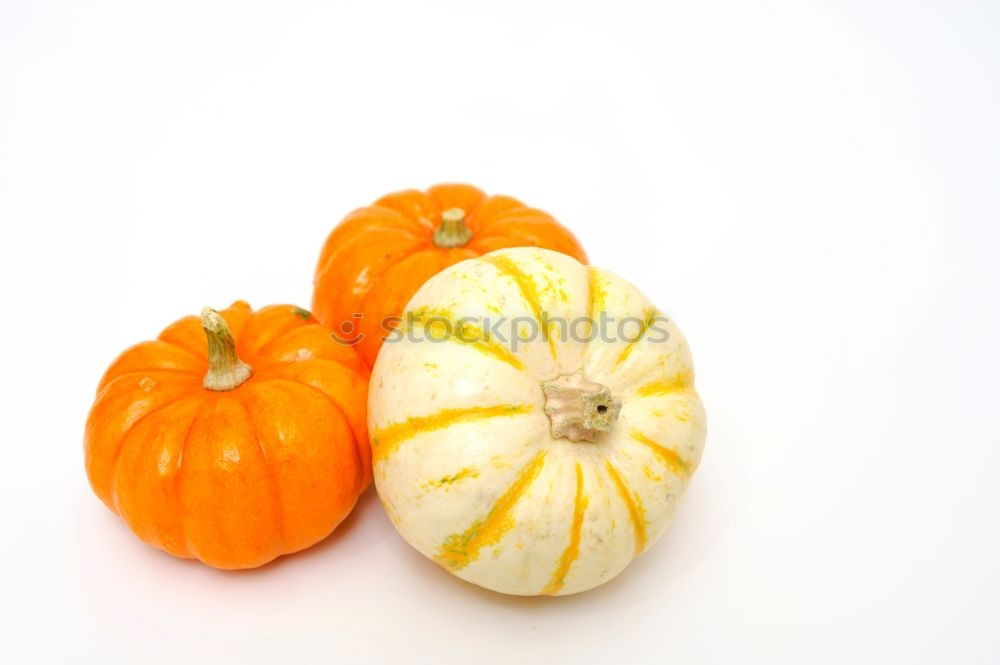 Similar – Image, Stock Photo Pumpkin stack on white