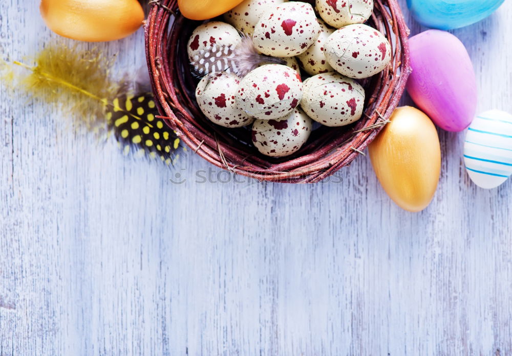 Similar – Image, Stock Photo Three fresh quail eggs on a gray wooden surface