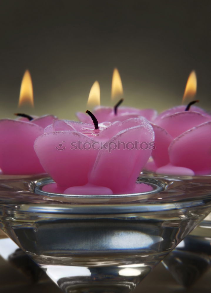 Similar – Lit candle isolated on a pink background. Aromatic pink candle burning