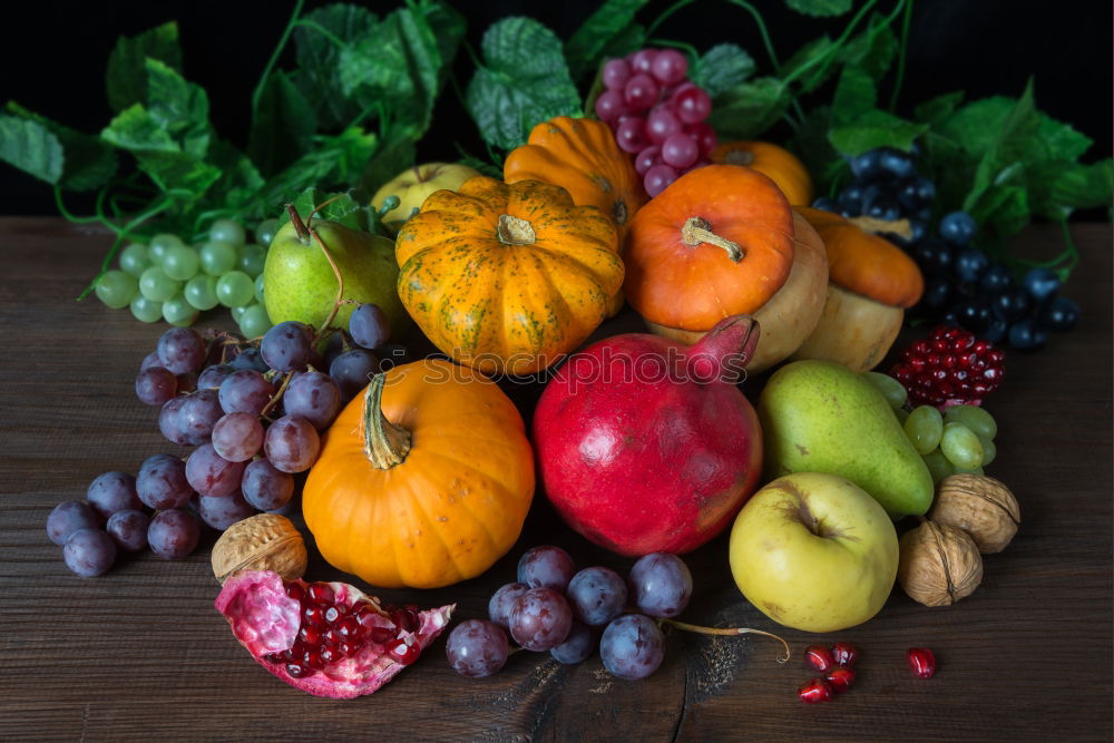 Colourful pumpkins with flowers, stems and leaves on slate