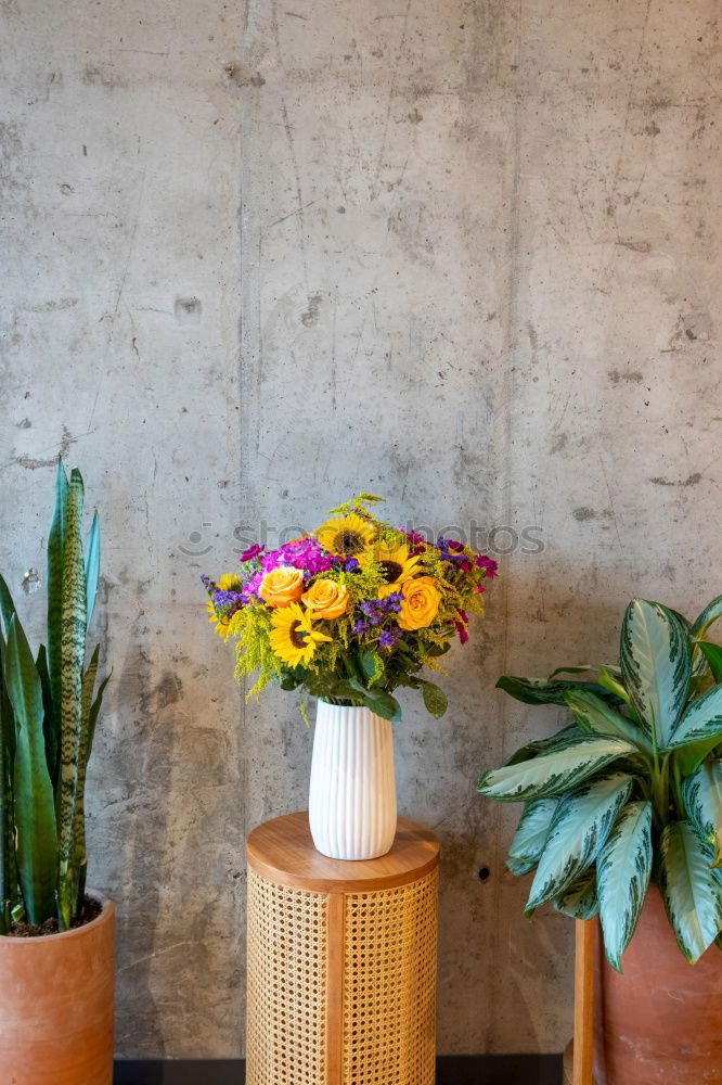 Similar – Blumen im Topf auf dem Tisch im Wohnzimmer