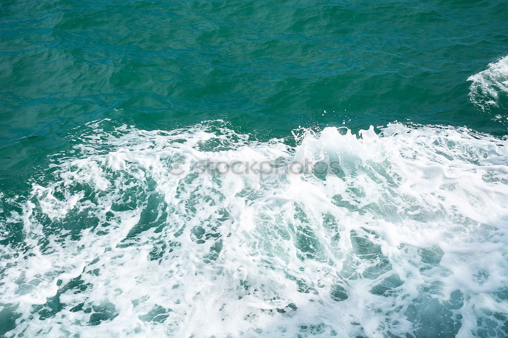 Similar – Image, Stock Photo Seagull (sleep mode) Water