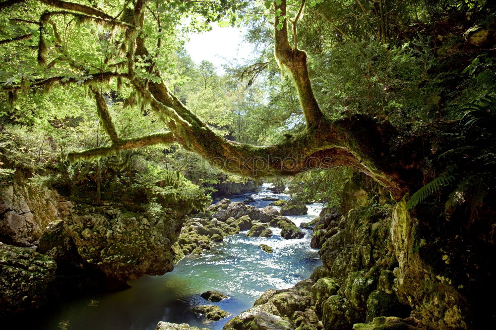 Similar – Natural monument Schößwendklamm 2