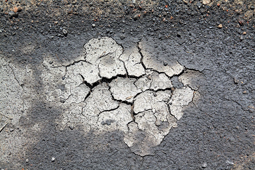 Similar – Foto Bild spuren Herbst Blatt Straße