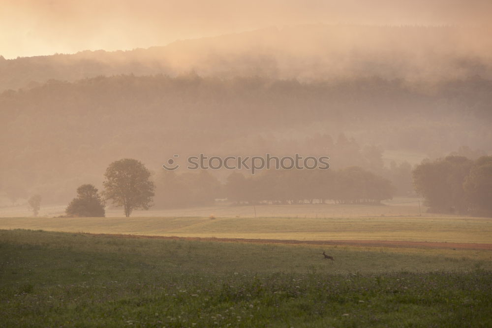 Similar – Image, Stock Photo CHAMANSÜLZ | arable land