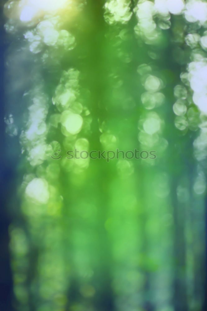 Similar – Image, Stock Photo branch Plant Tree Green