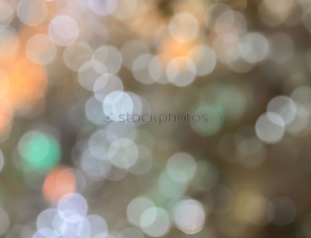 Similar – Image, Stock Photo Fall season.Dry yellow and orange leaves tangled in branches