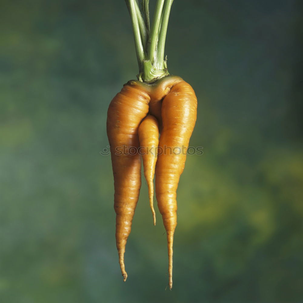 Image, Stock Photo i at root Food Vegetable