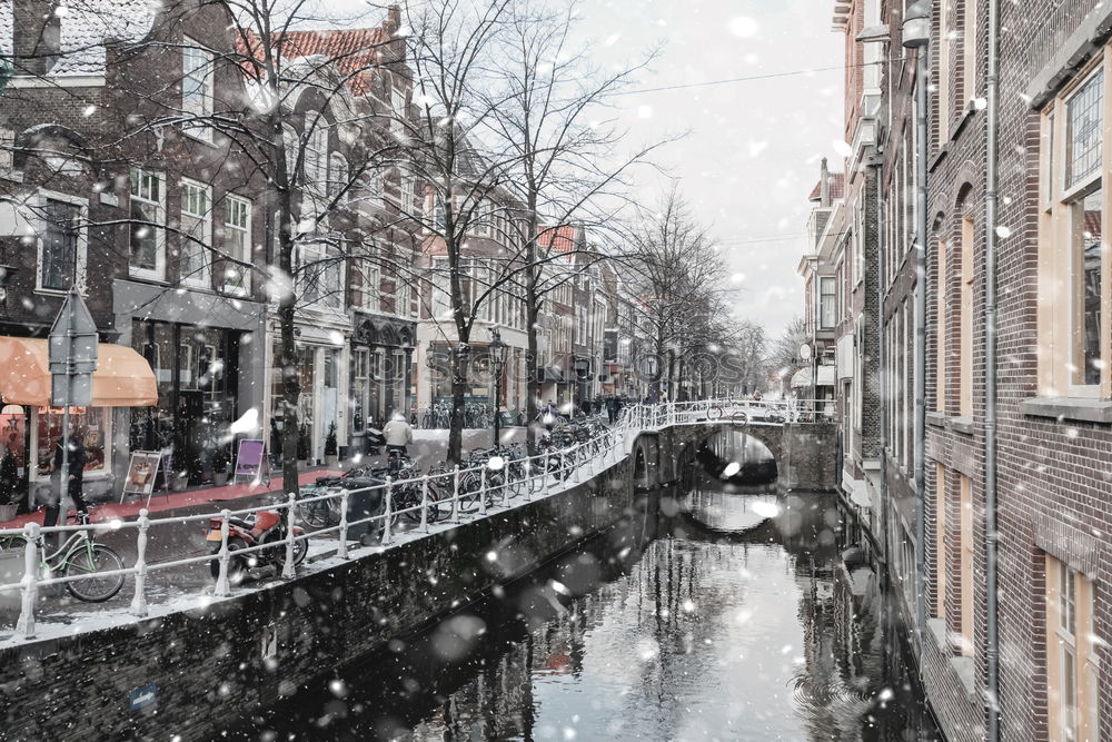 Similar – Image, Stock Photo Woman looking at sunset at one of the canals in Amsterdam