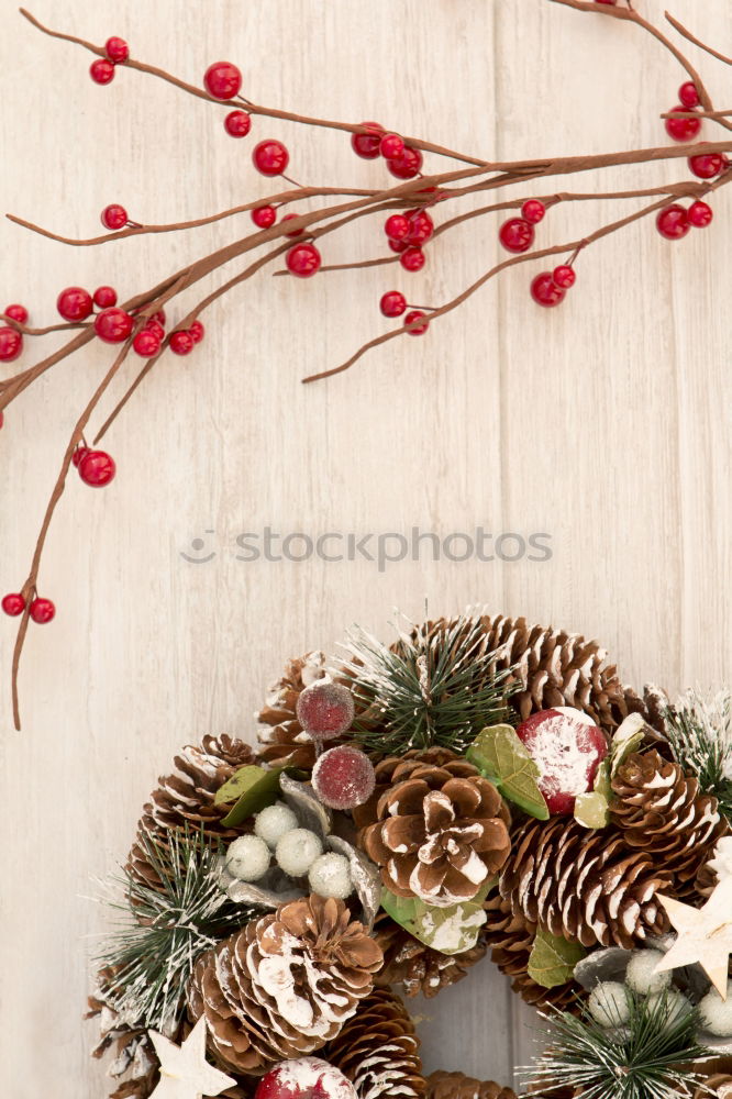 Similar – Image, Stock Photo Delicate Christmas wreath of pine cones on wooden background