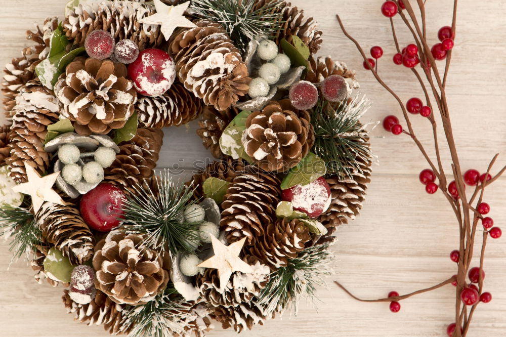 Similar – Image, Stock Photo Christmas wreath Winter