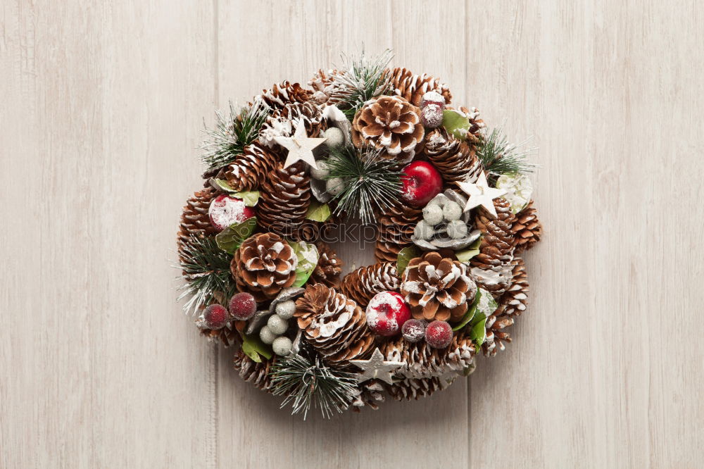 Similar – Image, Stock Photo Christmas wreath Winter