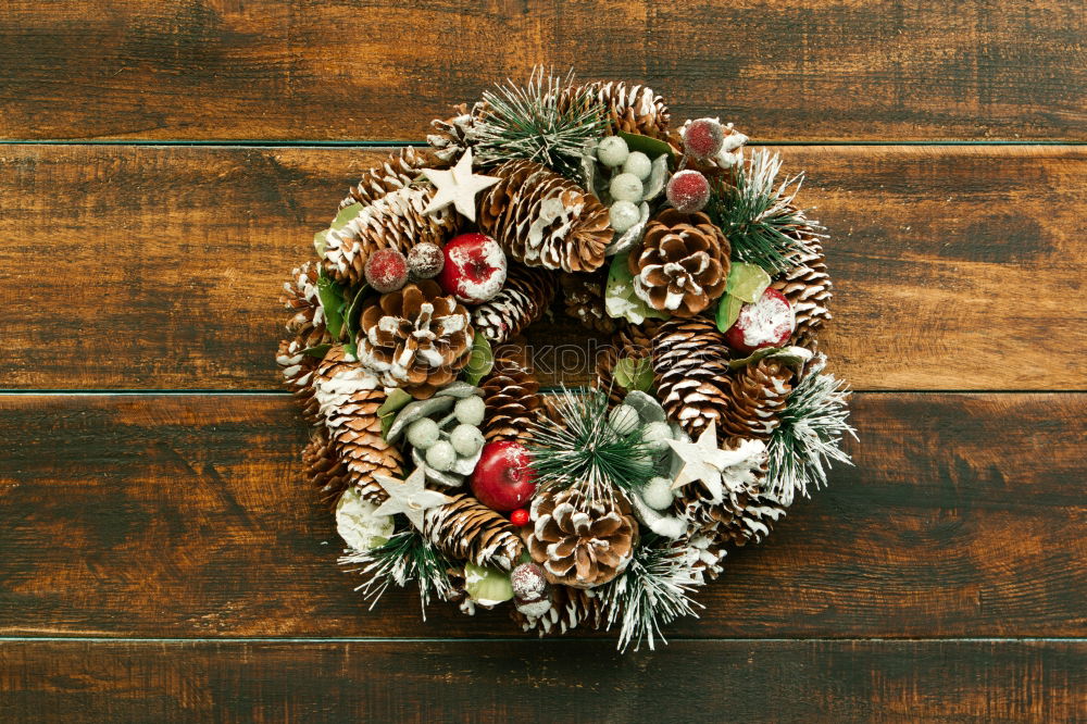 Similar – Image, Stock Photo Christmas wreath Winter