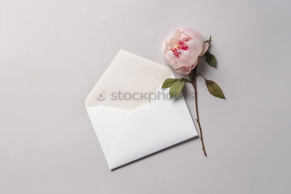 Similar – Image, Stock Photo Flower greeting III