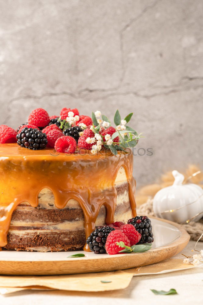 Similar – Image, Stock Photo pie with raspberries and apricots