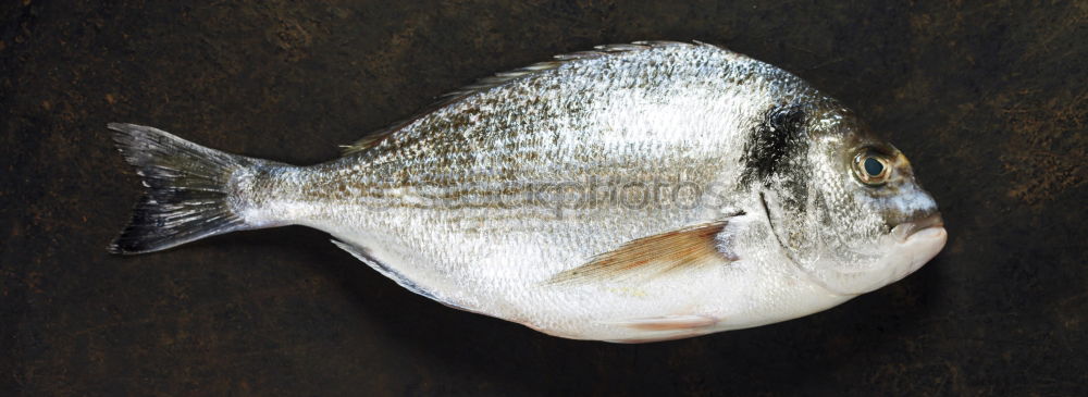 Similar – Image, Stock Photo Fish Catch Food Seafood