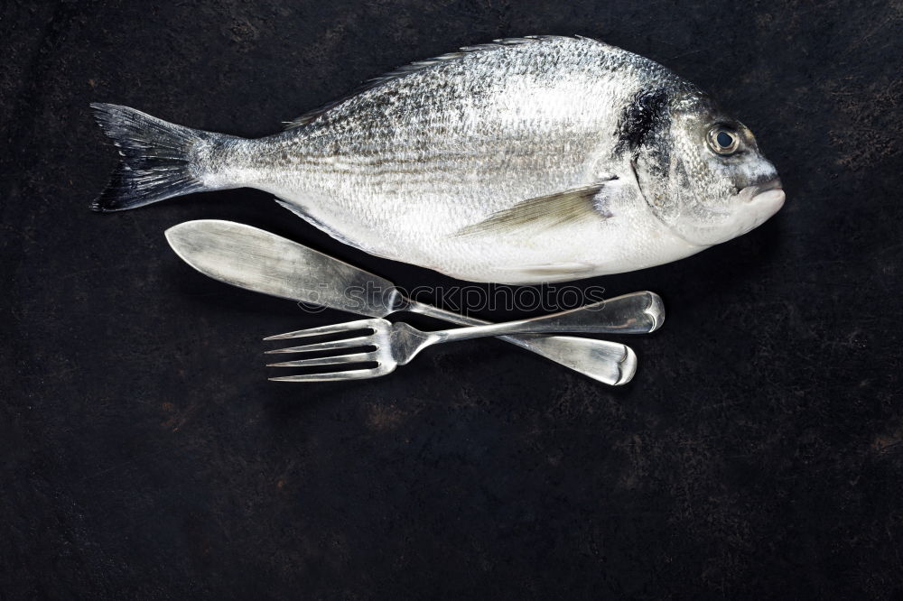 Similar – Frozen fish smelt on the kitchen board