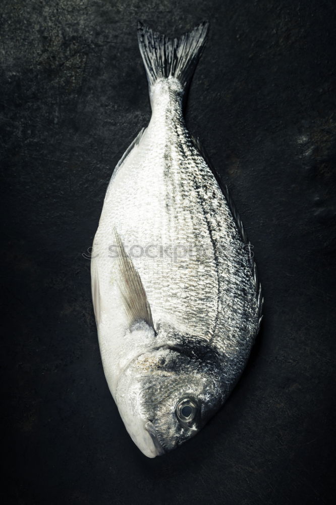 Similar – smoke victim Food Fish