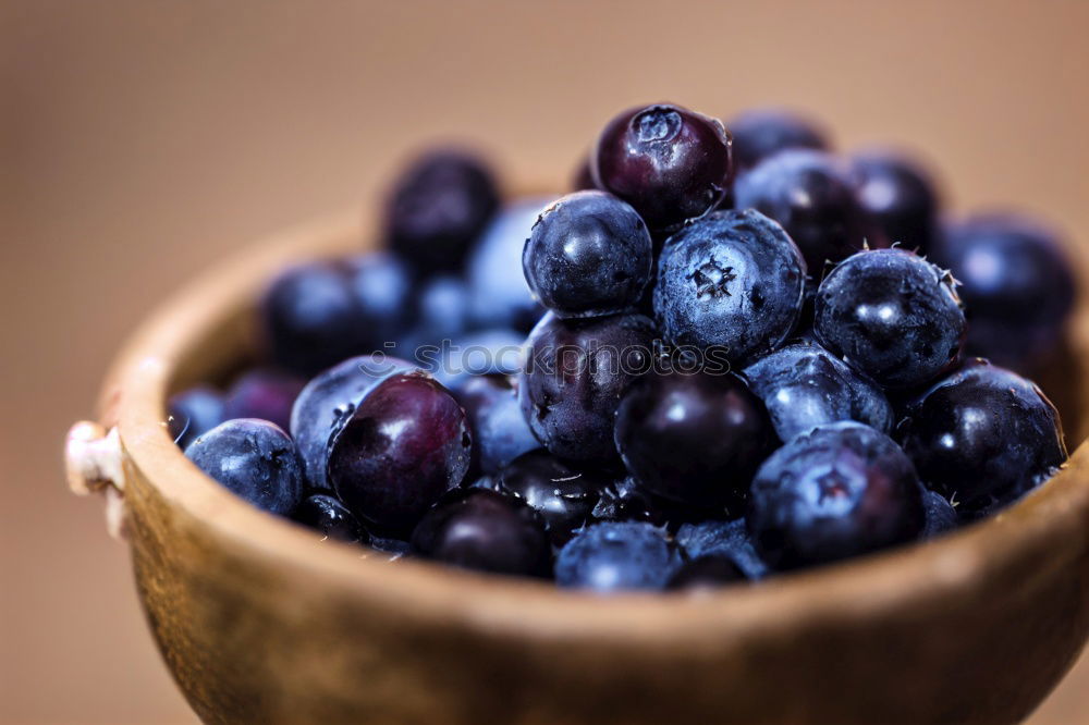 Similar – Image, Stock Photo Freshly gathered blueberries put into ceramic bowl