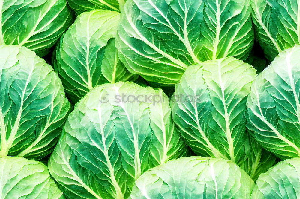 Similar – Image, Stock Photo Romanesco Food Vegetable