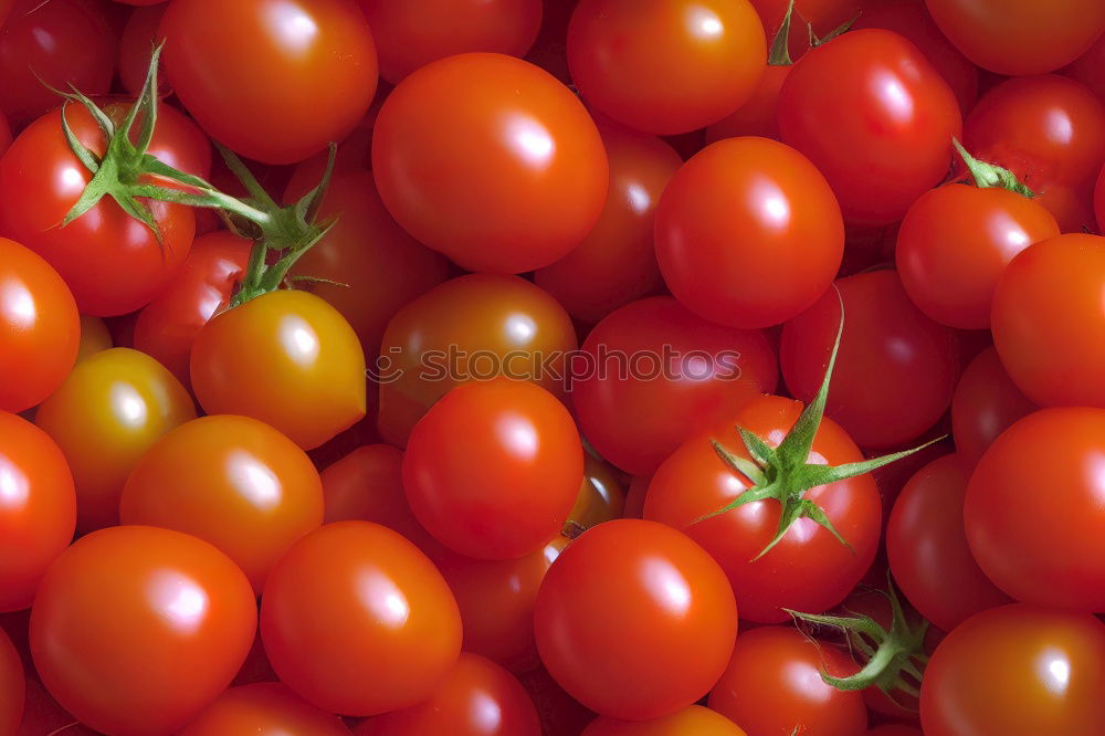 Similar – Foto Bild Tomaten Tomatensalat