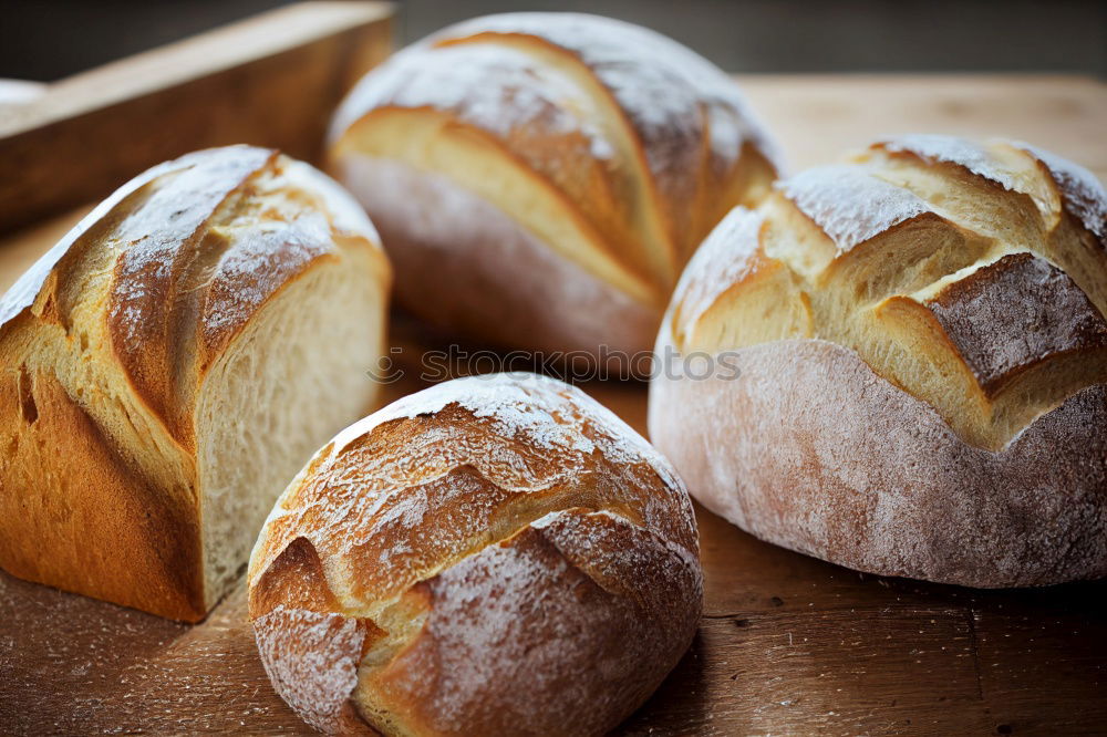 Similar – Many mixed breads and rolls.