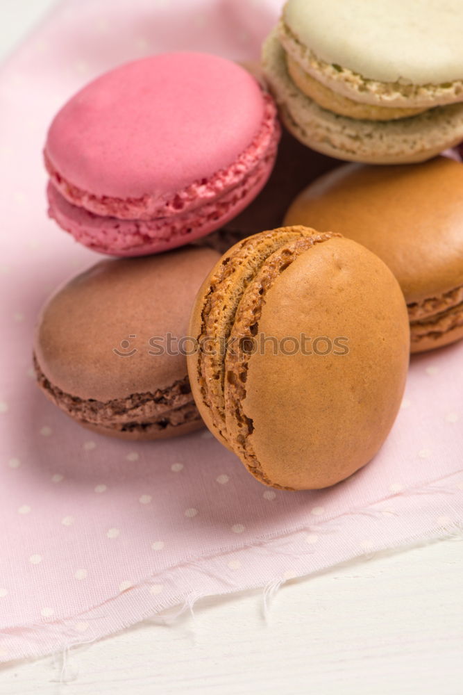 Similar – Image, Stock Photo Colorful macarons Macaron