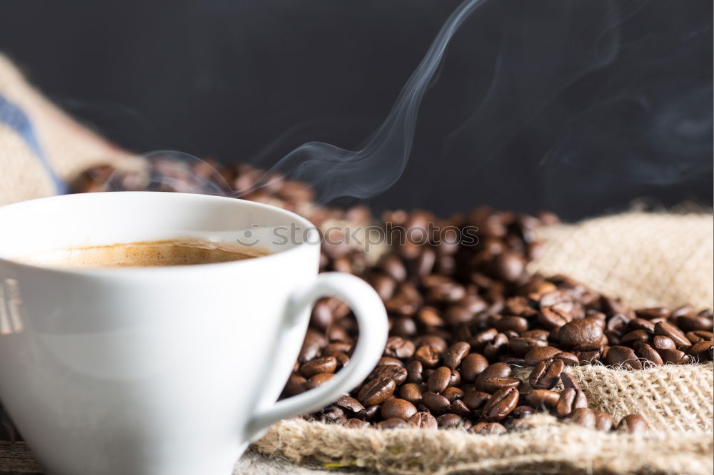 Similar – Image, Stock Photo Hand drip coffee, pouring water on coffee ground with filter drip style