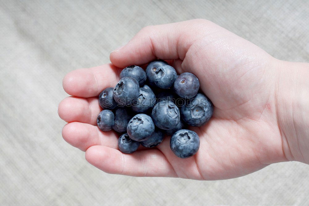 Image, Stock Photo fresh blueberry harvest