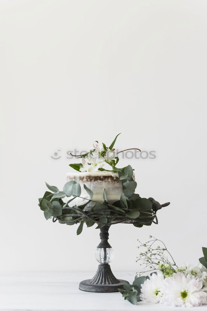 Similar – Image, Stock Photo Bouquet of white flowers on stand