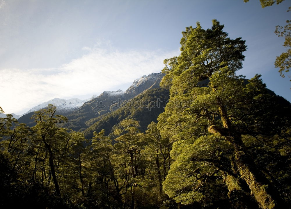 Similar – Image, Stock Photo Mountain in the Alps