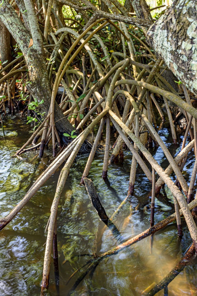 Similar – water gate Nature