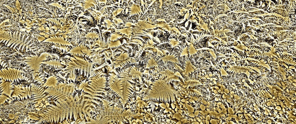 Similar – Image, Stock Photo Dendrite in limestone rock. found in solnhofen (Germany)