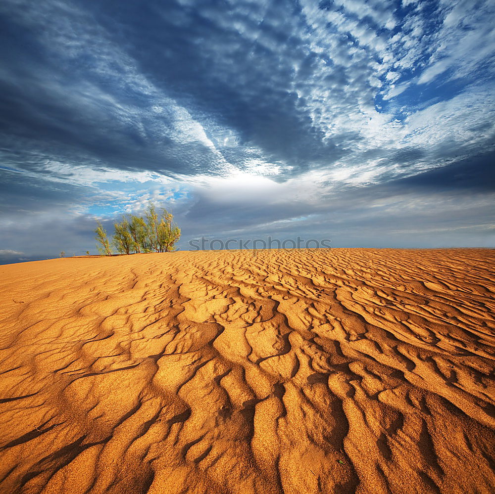 Similar – Deadvlei (Namibia)