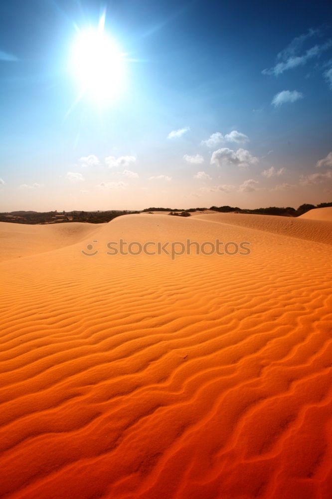 Similar – Spuren im Sand Wüste