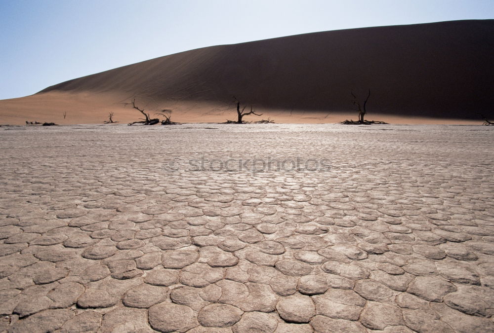 Similar – deadvlei Vacation & Travel