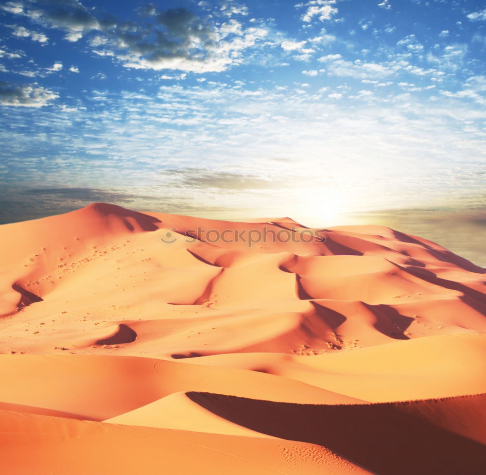 Similar – Image, Stock Photo quarter of desert a free