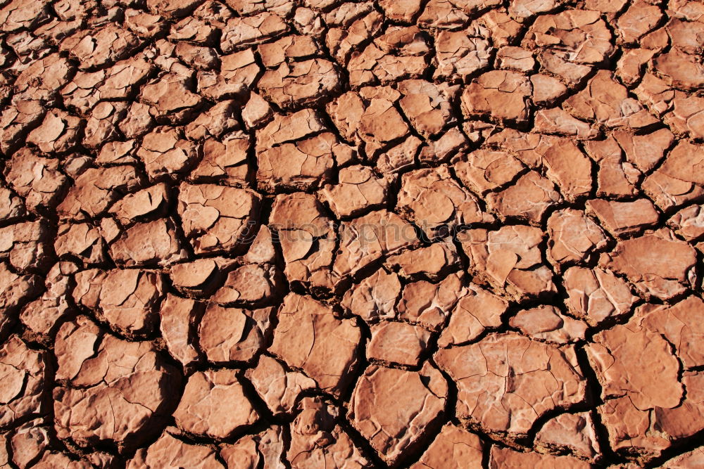 Similar – Dried earth Mud Drought