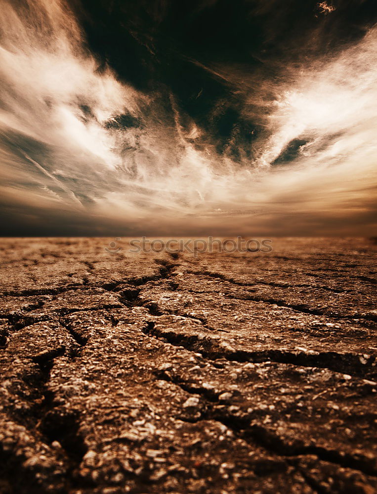 Similar – Image, Stock Photo weather report Roof Town