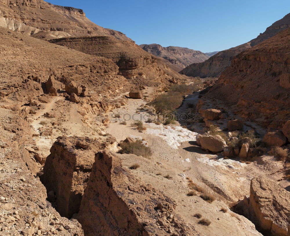 Similar – Red sand at the Red Sea