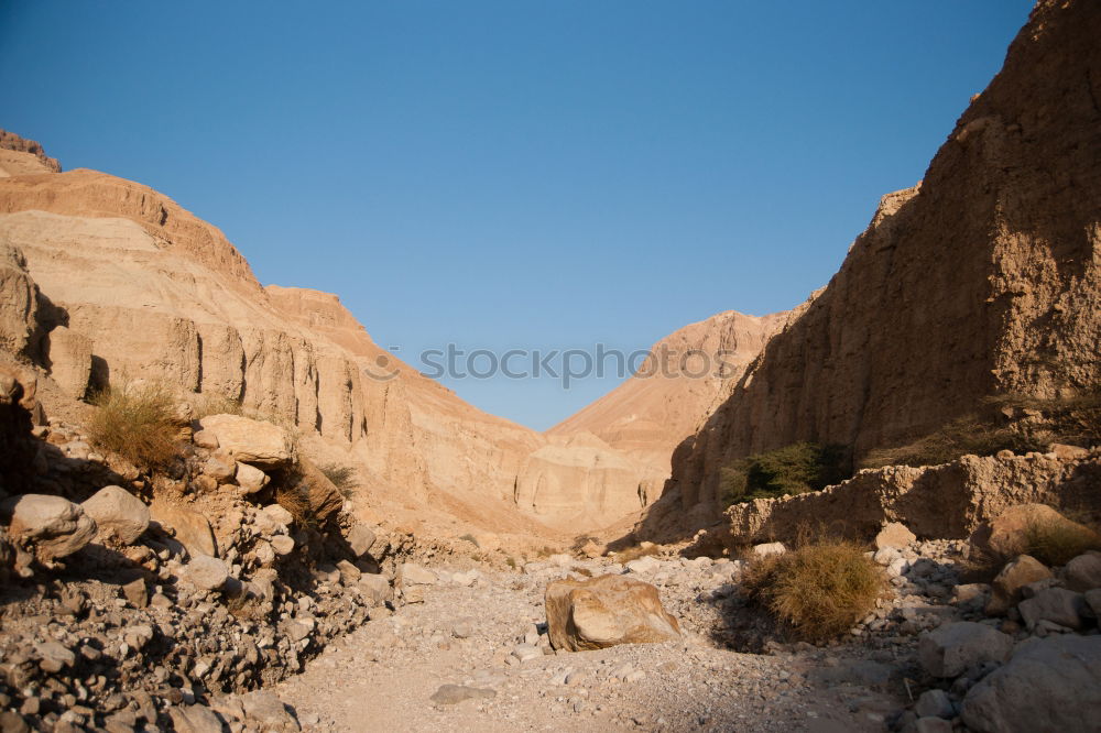 Similar – Image, Stock Photo Morocco Vacation & Travel