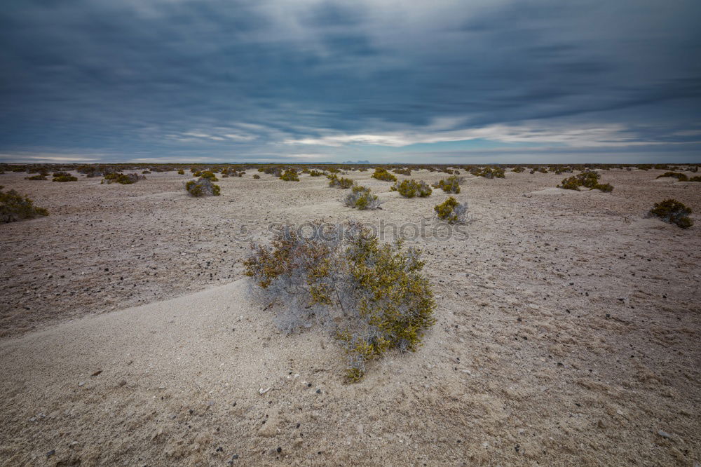 Similar – Image, Stock Photo Desert Solitaire Beautiful