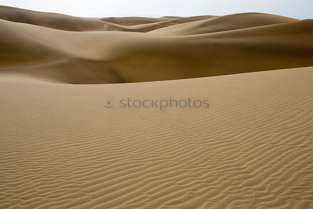 Similar – Sand as far as the eye can see