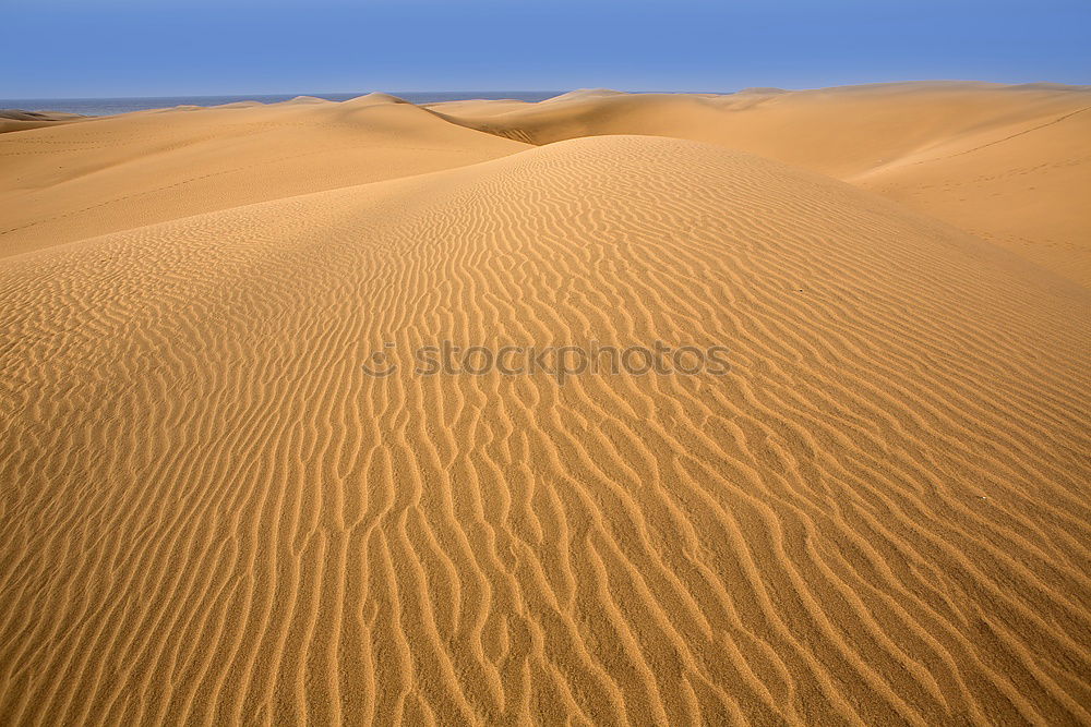 Similar – Sand dune in sahara desert, Africa.