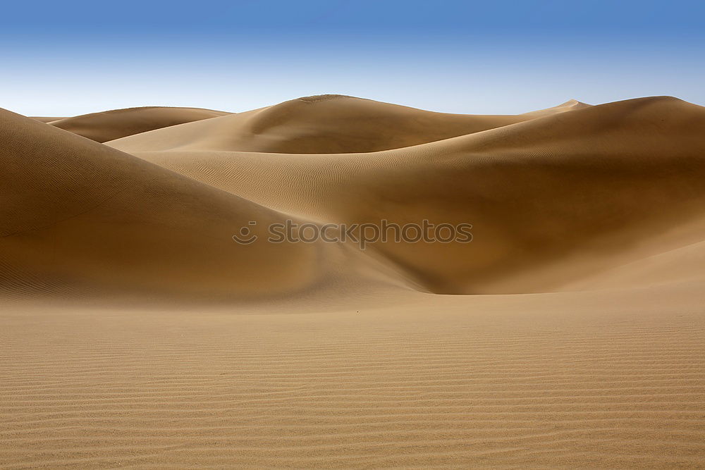 Similar – Image, Stock Photo Sahara Vacation & Travel