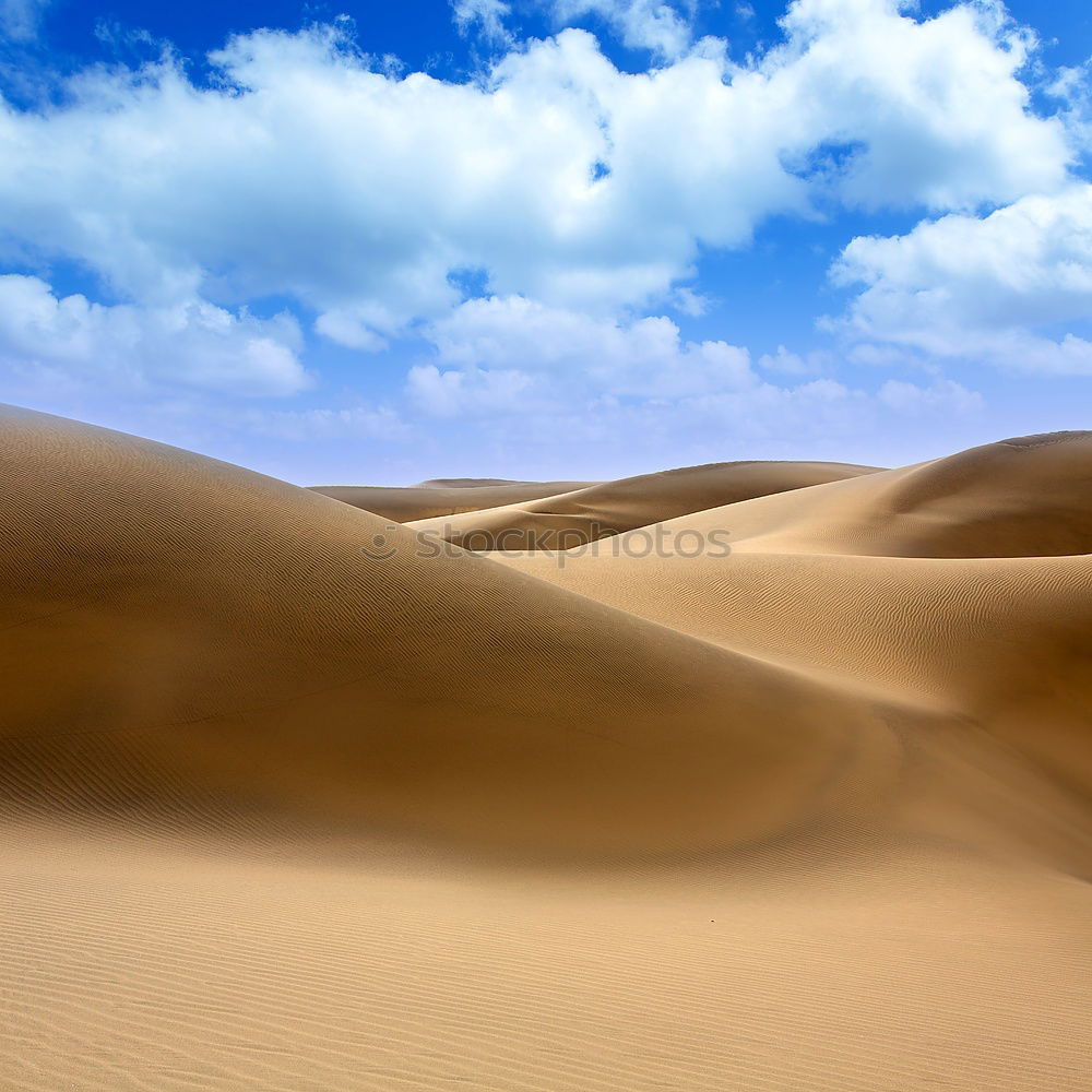 Similar – Image, Stock Photo oman old desert rub al khali