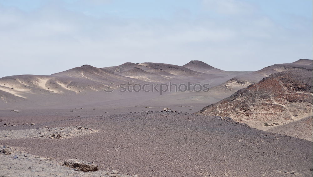 Similar – Image, Stock Photo desert Tree Egypt Desert