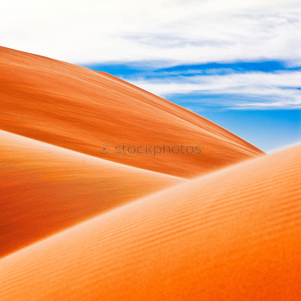 Similar – Dunes on desert sand Sand